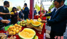 最新吃瓜爆料河北新闻,揭秘幕后真相，带你走进事件核心